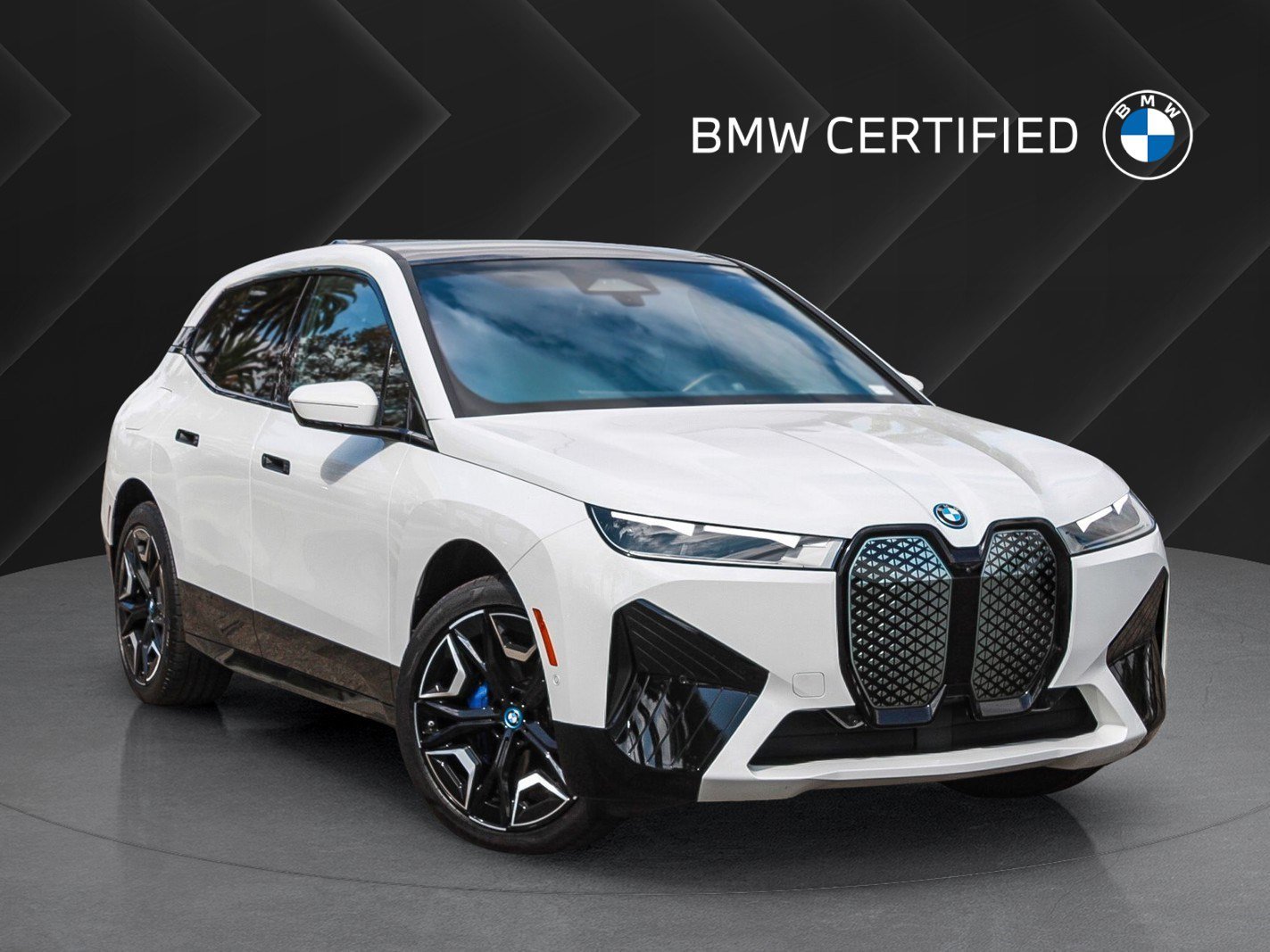 2024 BMW iX
