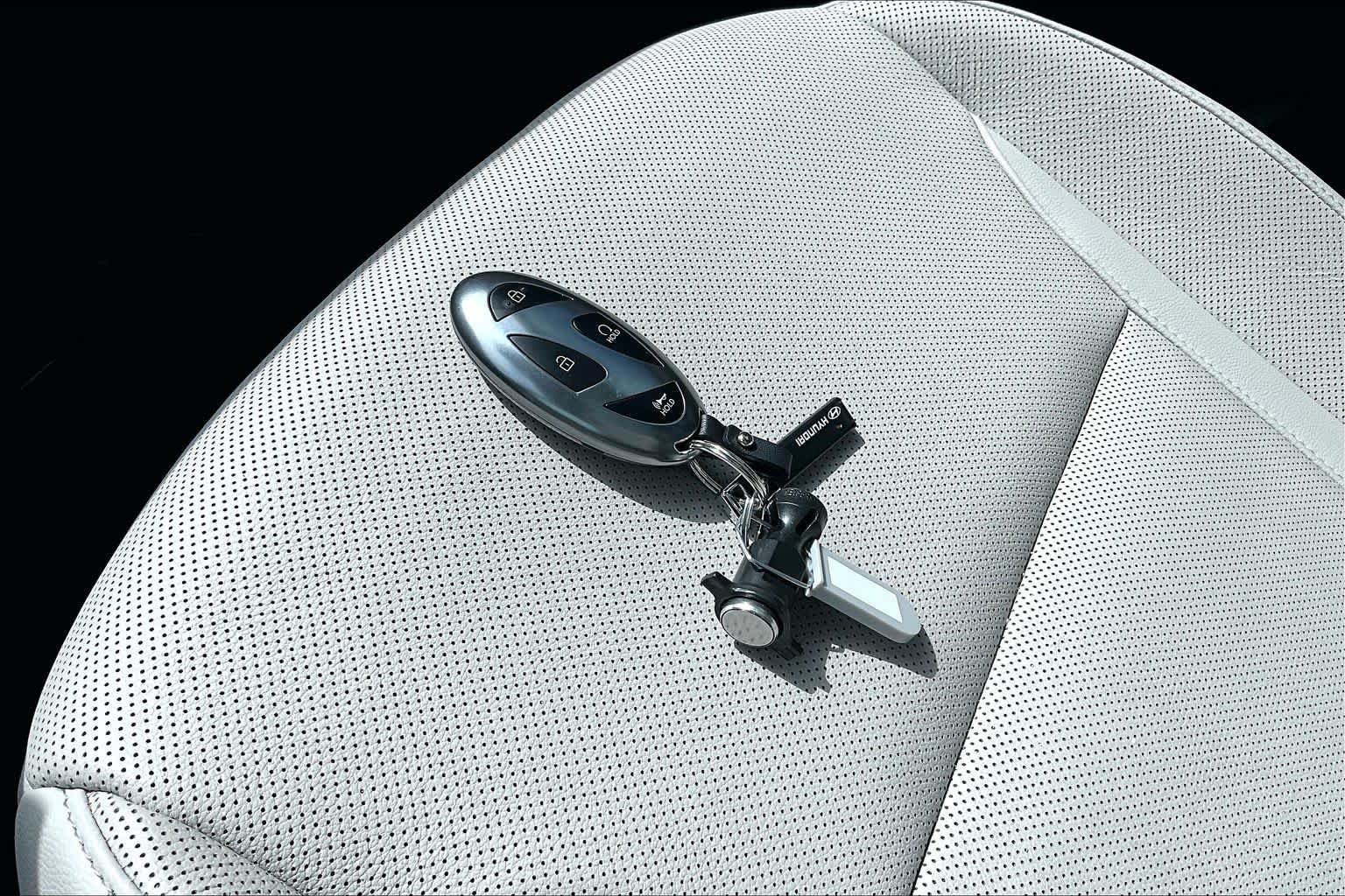Used 2025 Ecotronic Gray Matte Hyundai Limited image 14