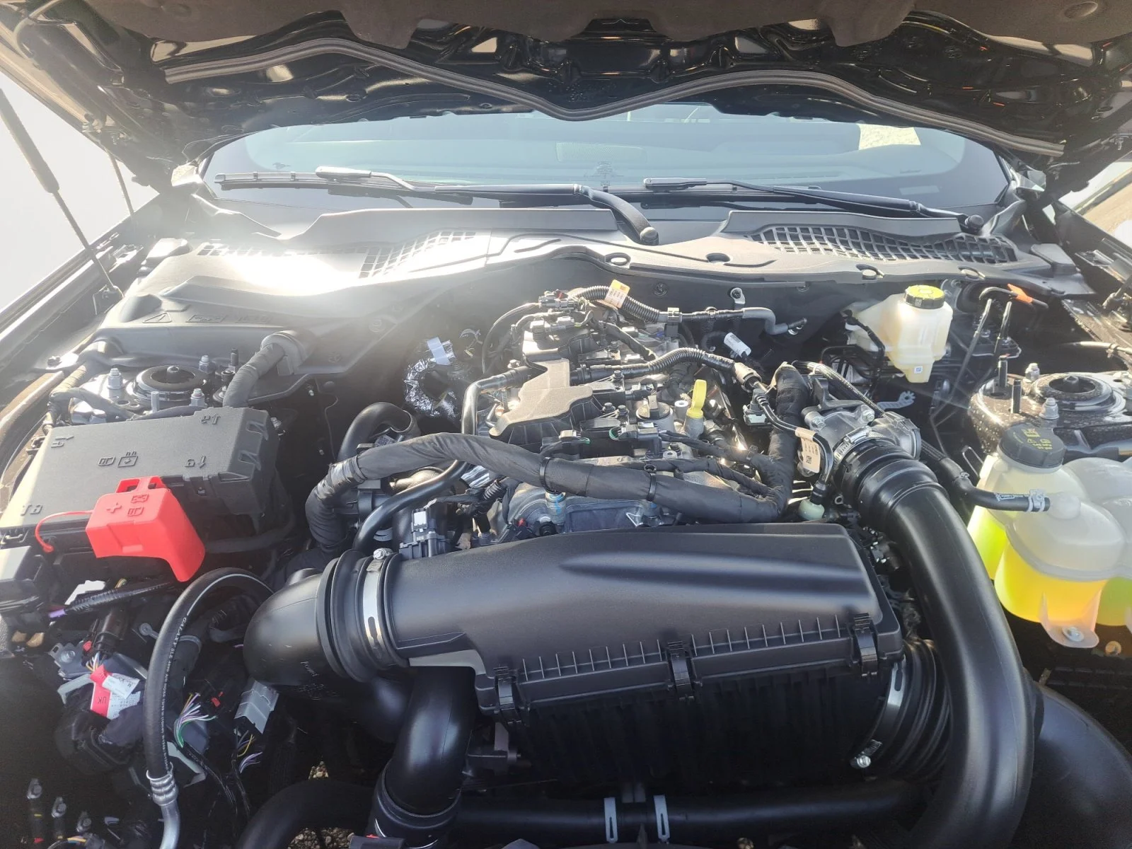 New 2026 Shadow Black Ford EcoBoost Premium image 30