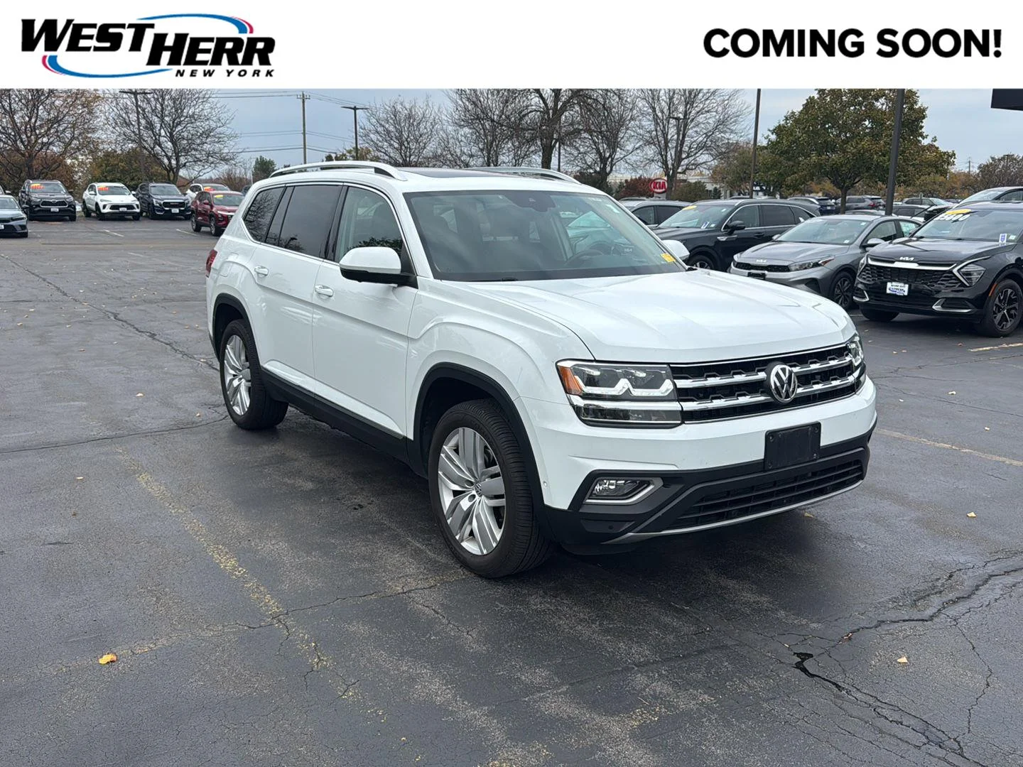 Used 2019 Wh Volkswagen  image 1