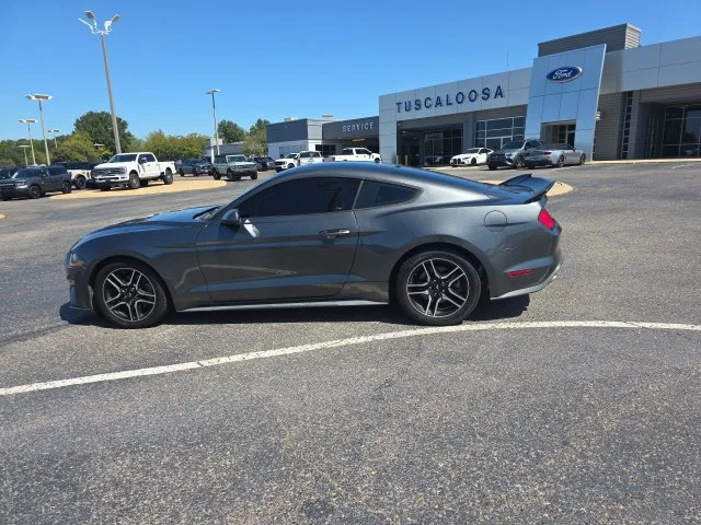 Used 2019 Gray Ford EcoBoost image 6