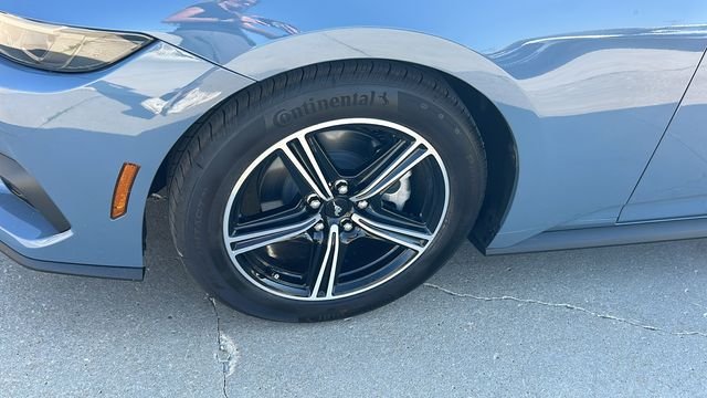 2025 Ford Mustang EcoBoost Fastback - Photo 9
