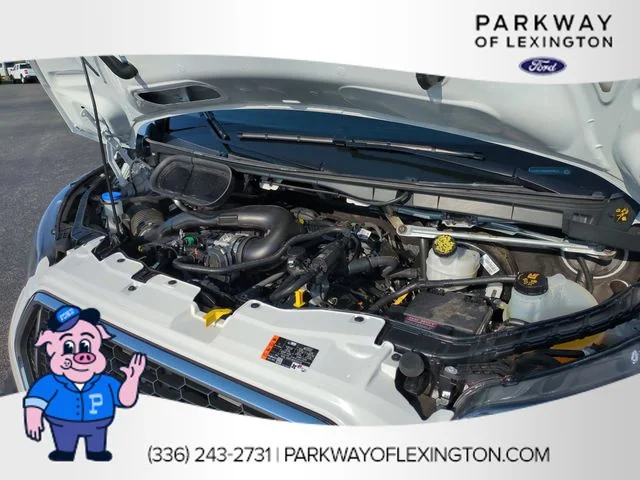Used 2025 White Ford Base image 31