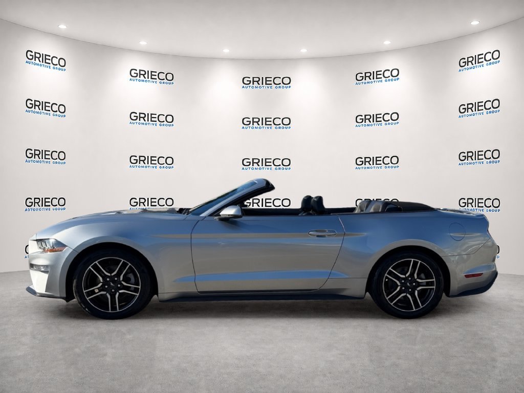 Used 2020 Silver Ford EcoBoost Premium image 4