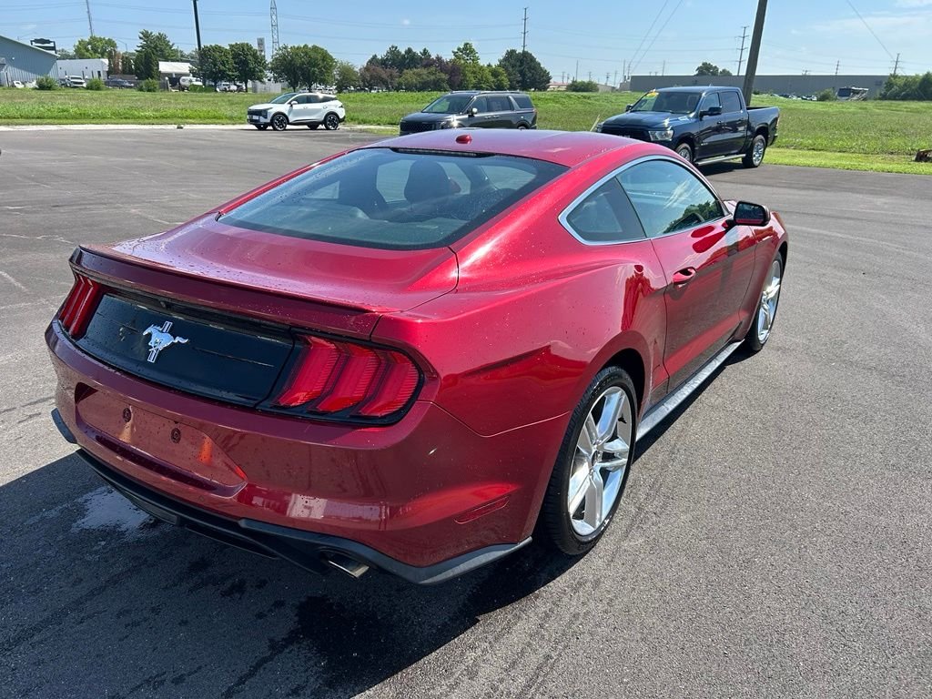 Used 2019 Ruby Red Metallic Ford EcoBoost Premium image 4