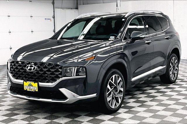 Used 2023 Portofino Gray Hyundai Calligraphy image 12