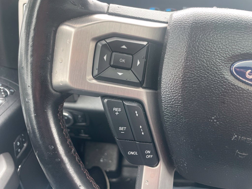Used 2018 Blue Ford Platinum image 13