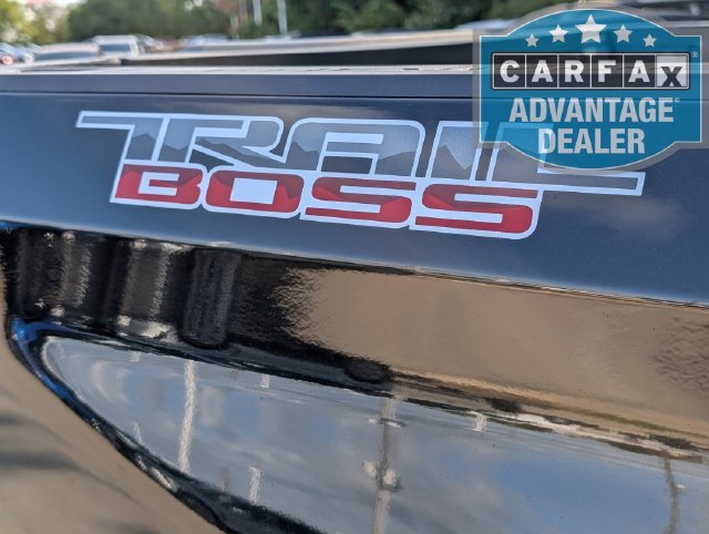2025 Chevrolet Silverado 1500 Custom Trail Boss - Photo 43