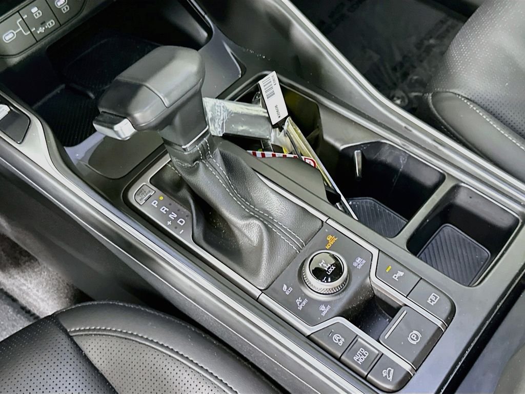 Used 2025 Panthera Metal Kia EX image 18