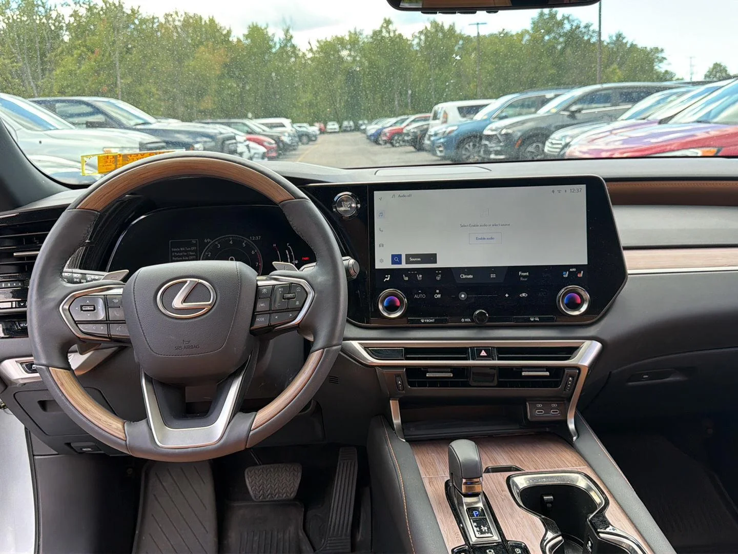 Used 2023 Iridium Lexus RX 350 Premium image 20