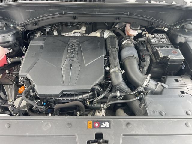 Used 2023 Black Hyundai Calligraphy image 32