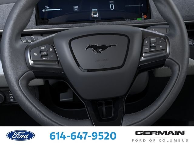 New 2026 Eruption Green Metallic Ford Premium image 16