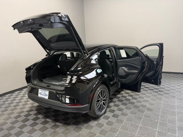 New 2026 Shadow Black Ford Premium image 25