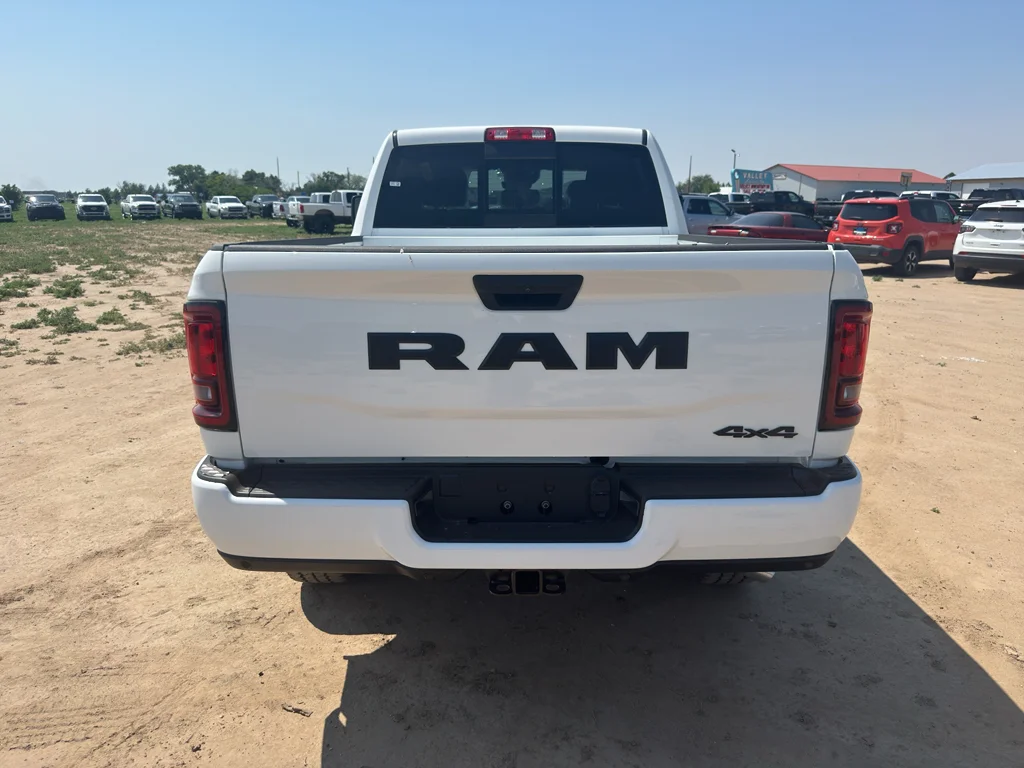 New 2026 Bright White Clear-Coat Exterior Paint RAM Black Express image 6