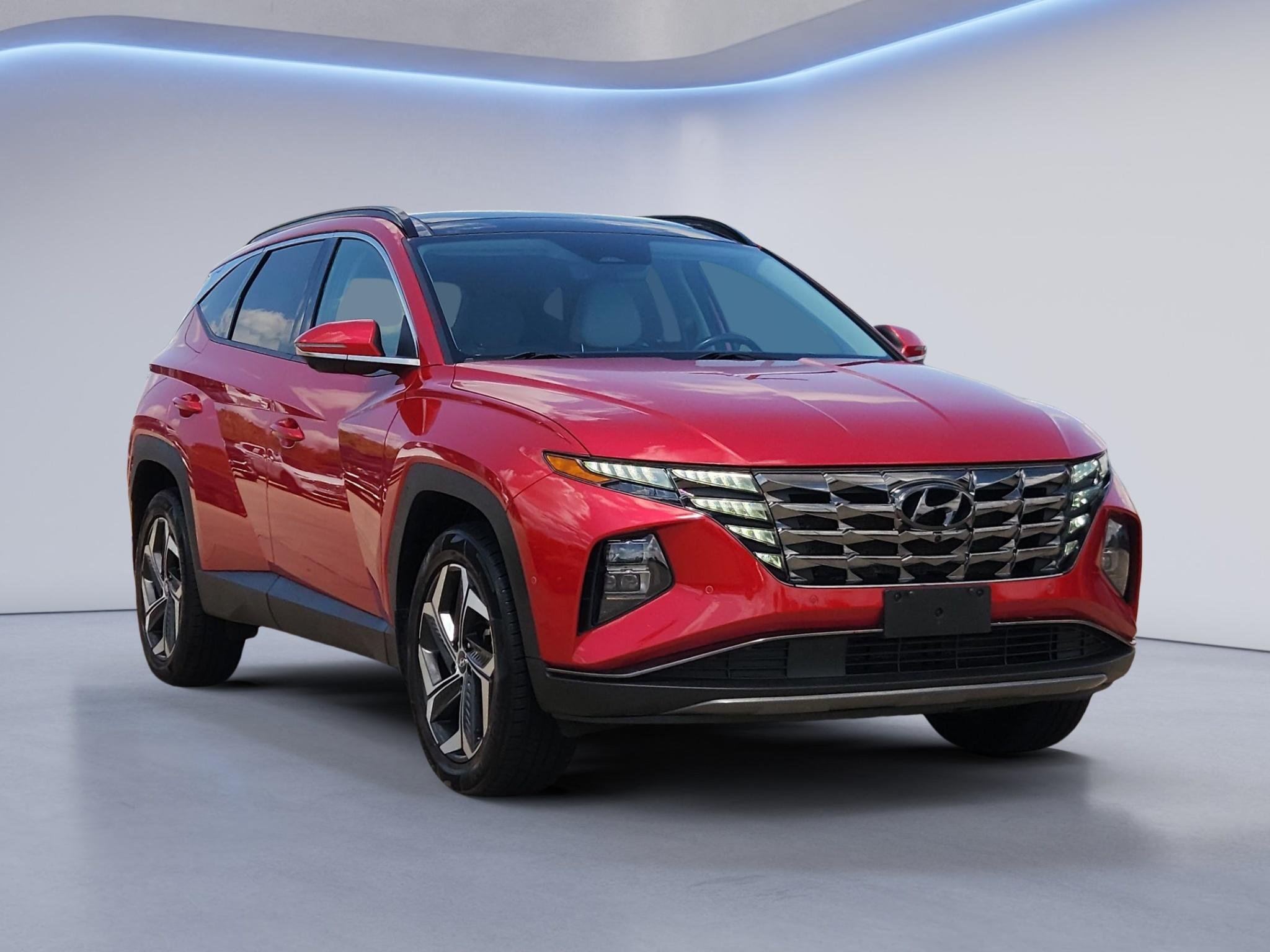 Used 2023 Calypso Red Hyundai Limited image 3