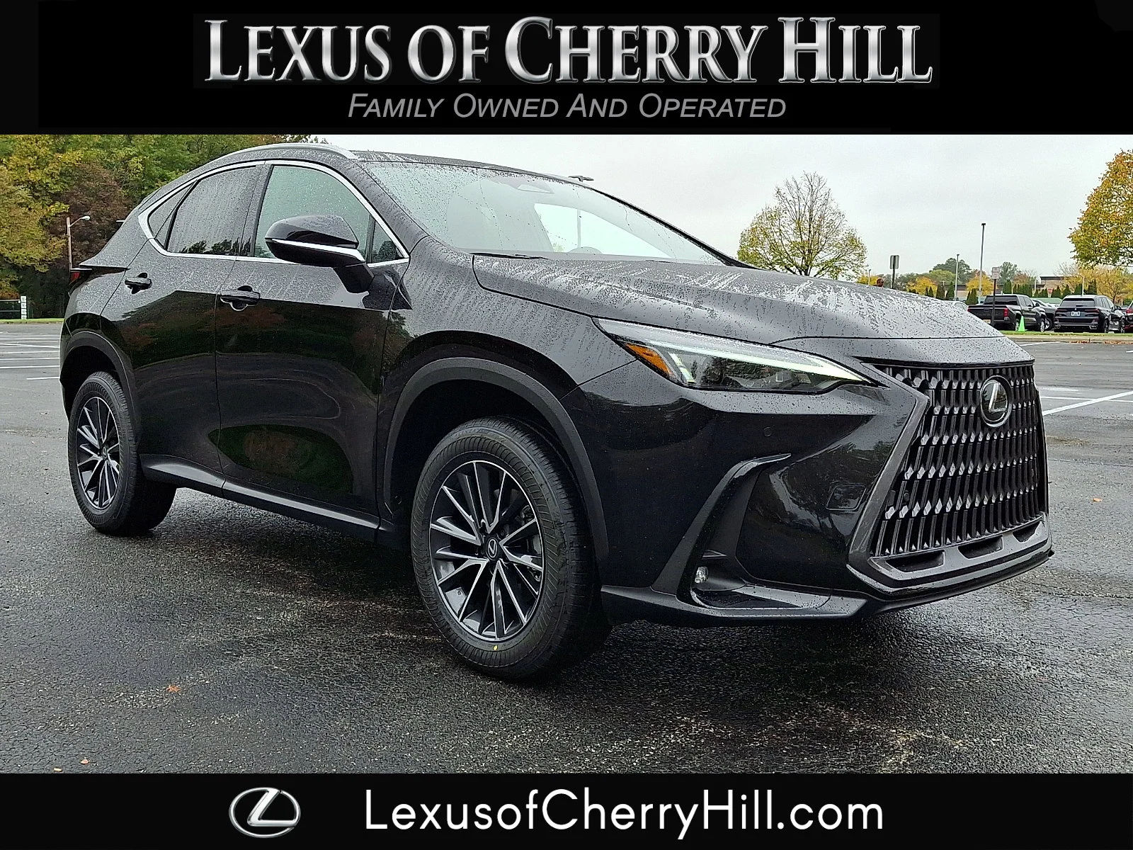 2026 Lexus NX