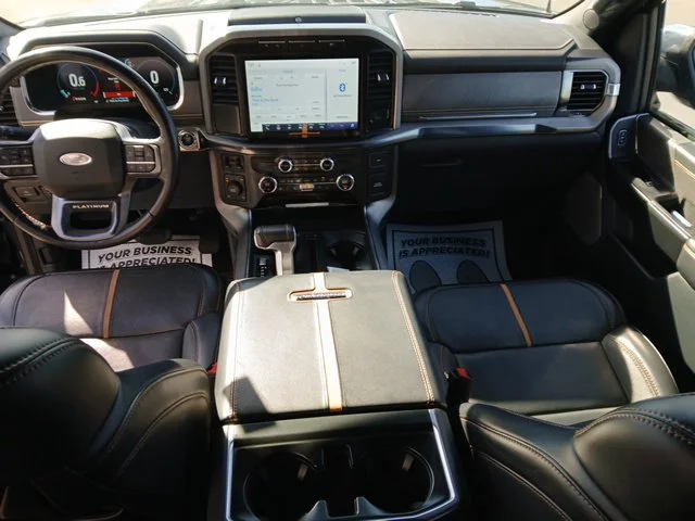 Used 2021  Ford Platinum image 15