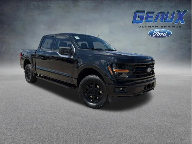 Used 2024 Black Ford XLT image 1