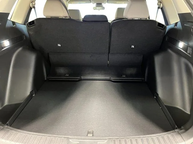 New 2026 Platinum White Pearl Honda LX image 22