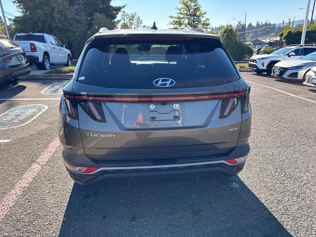 Used 2023 Amazon Gray Hyundai SEL image 7