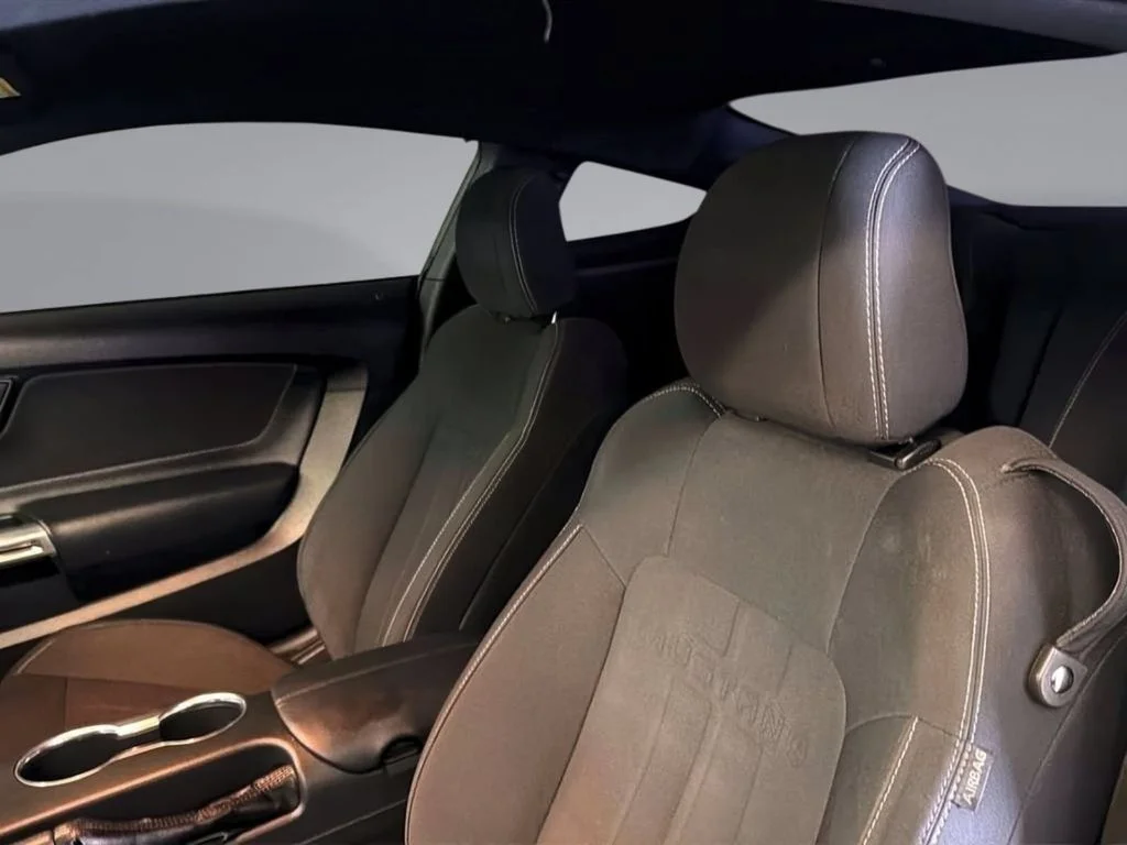 2018 Ford Mustang EcoBoost - Photo 10