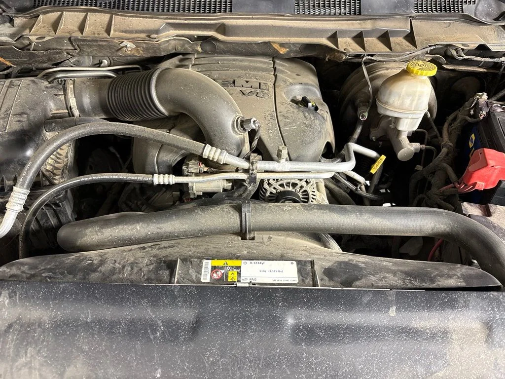 Used 2019 Black Ram Warlock image 37
