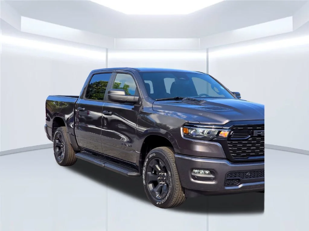 New 2026 Gray Ram Express image 39