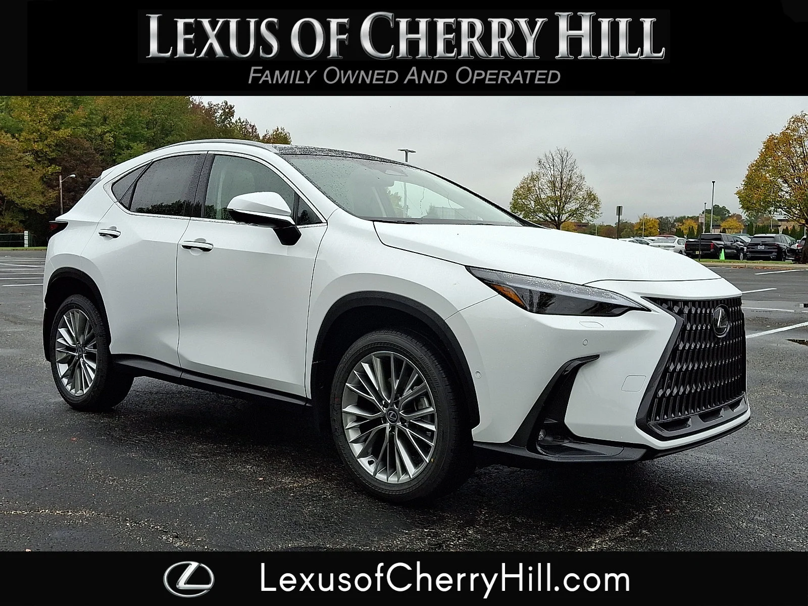 2026 Lexus NX