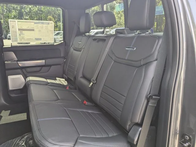 New 2026 Gray Ford Platinum image 14