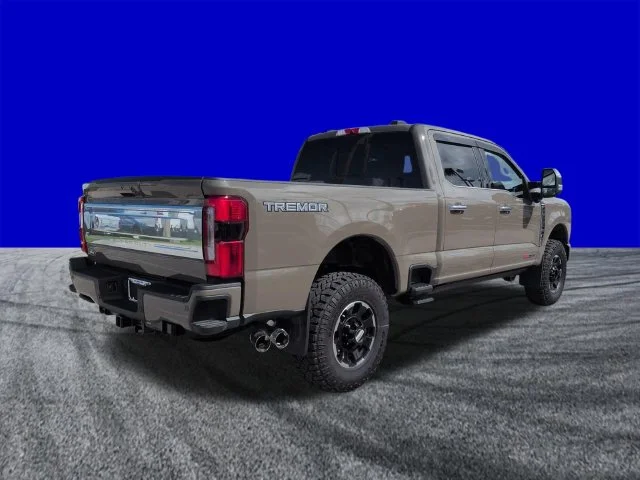 New 2027 Gray Ford Platinum image 4
