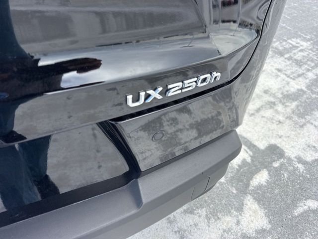 Certified Used 2023 Black Lexus 250h Premium image 25
