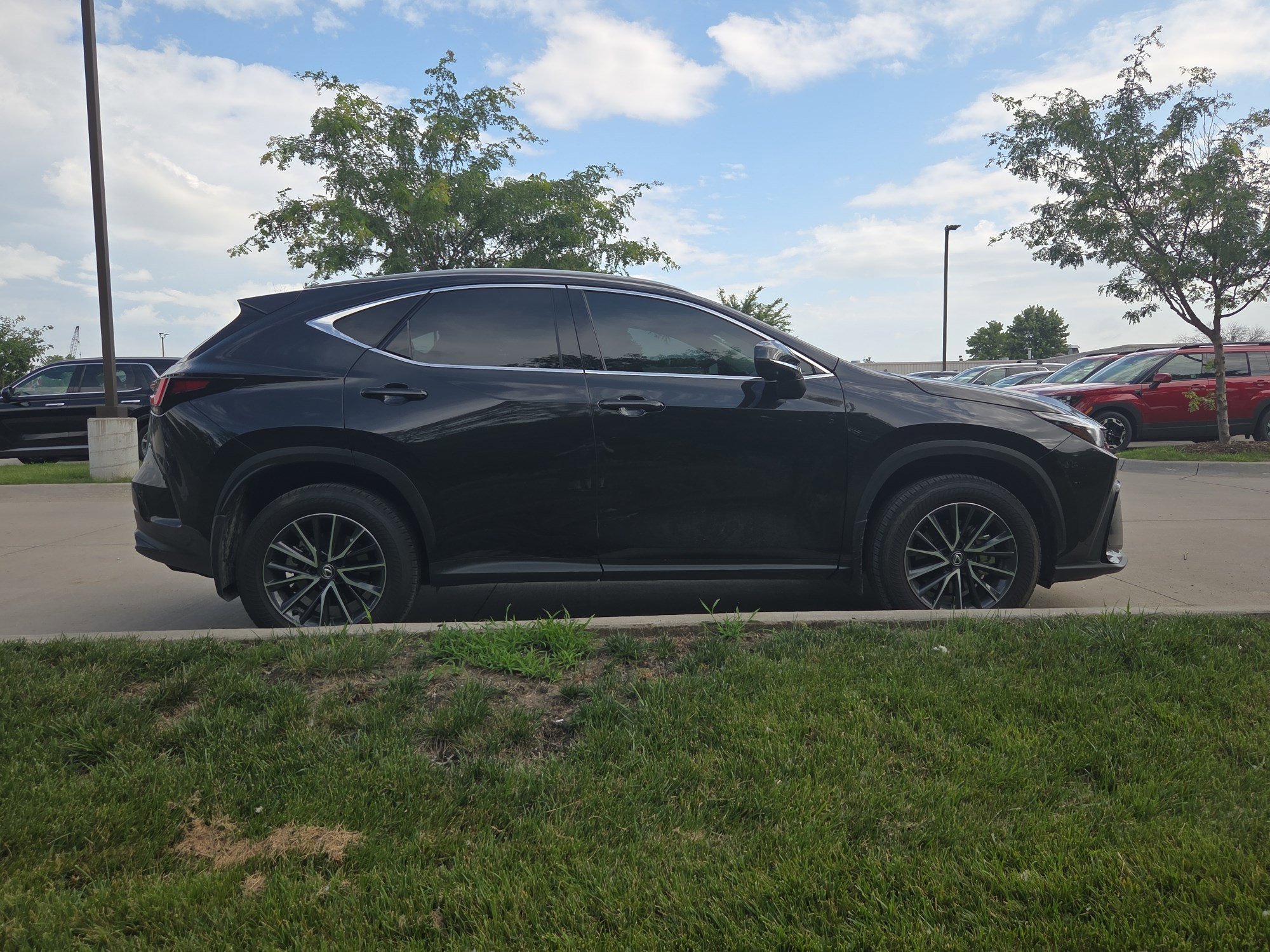 Stew Hansen Ce 2025 Caviar Lexus NX 350 Premium image 6