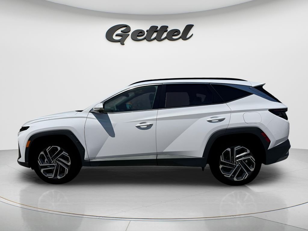New 2026 White Hyundai Limited image 12