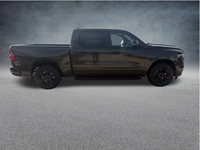 New 2027 Tank Exterior Paint RAM Big Horn/Lone Star image 8