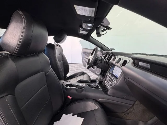 Used 2018 Black Ford EcoBoost Premium image 30