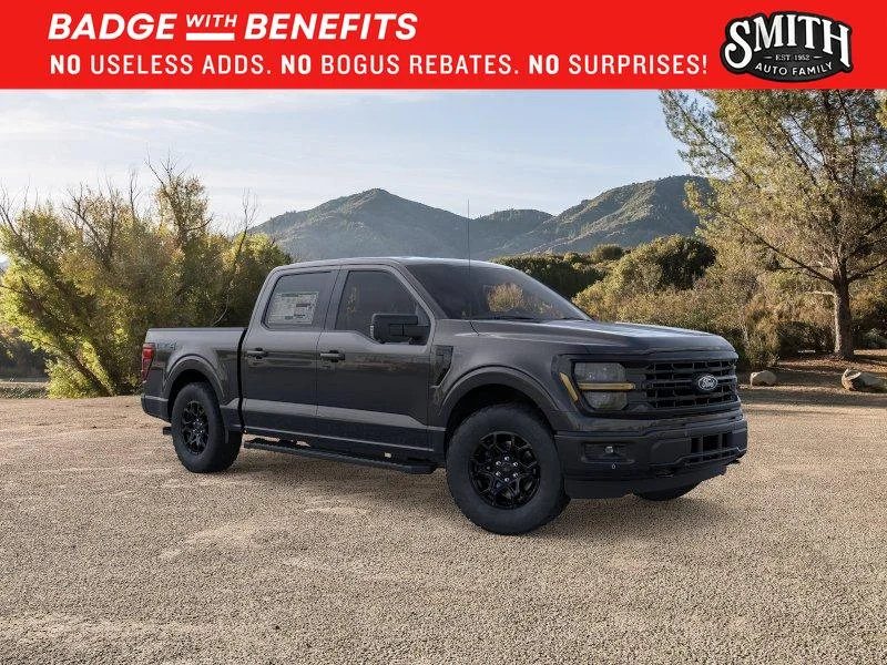 New 2025 Agate Black Metallic Ford XLT image 8