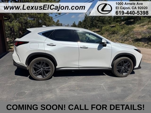 2022 Lexus NX 450h+ Luxury