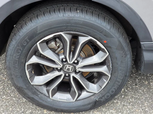 Photo 14