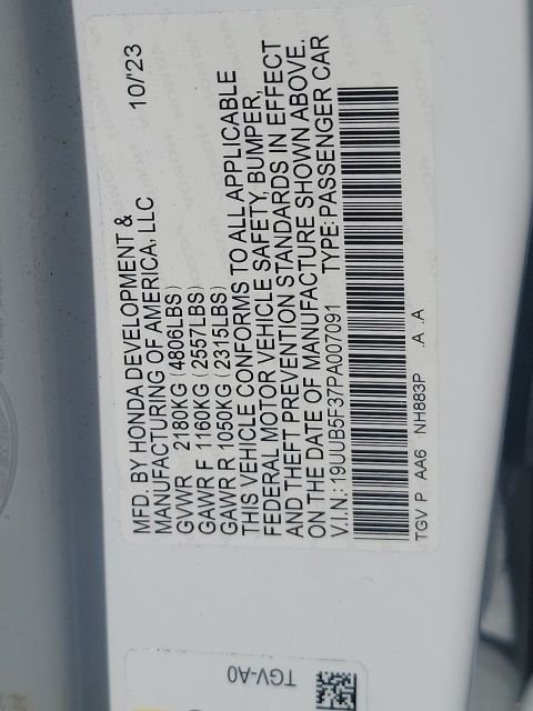 Photo 5