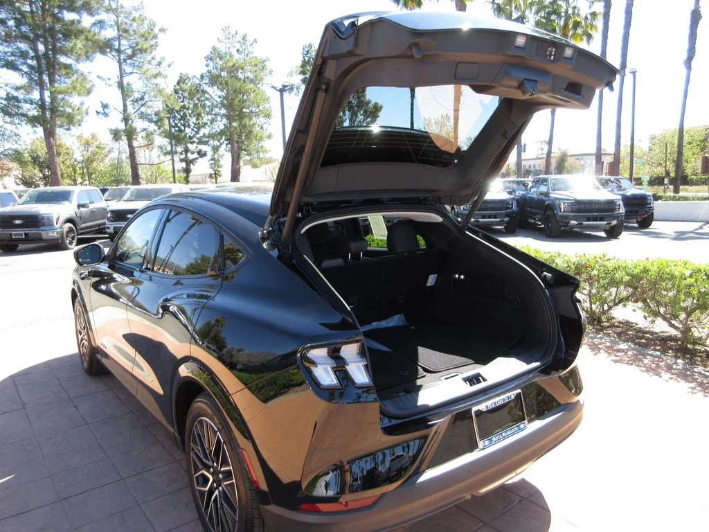 New 2026 Shadow Black Ford Premium image 25
