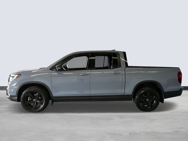 Used 2022 Gray Honda Black Edition image 2