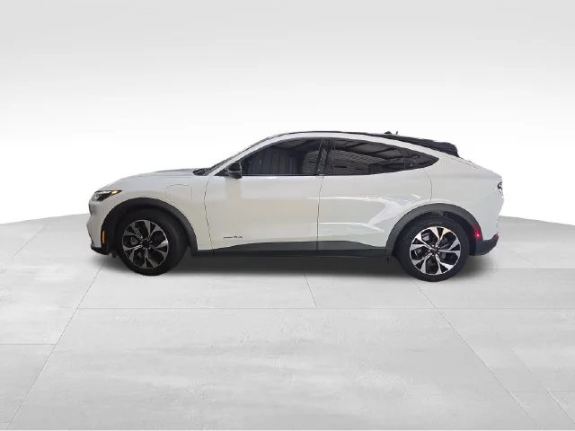 Used 2024 White Ford Select image 3