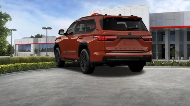 New 2025  Toyota Platinum image 27