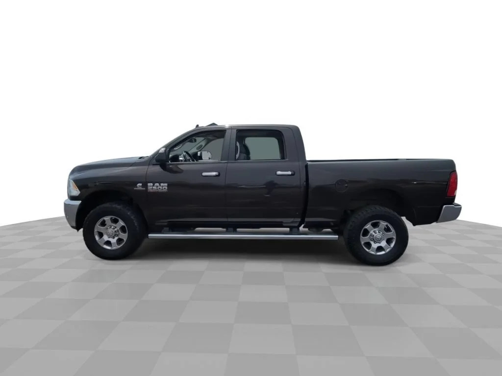 Used 2017 Brown Ram Lone Star image 5