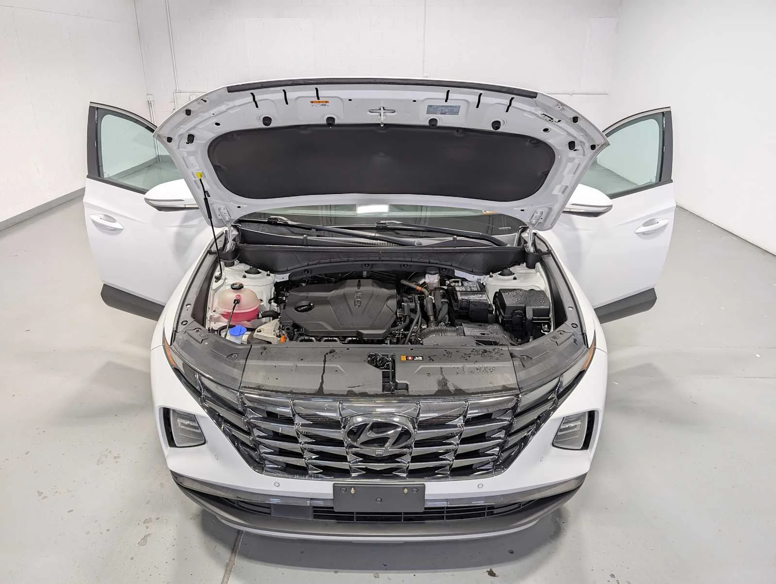Used 2023 Serenity White Pearl Hyundai Limited image 13