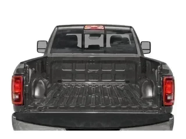New 2026 Granite Crystal Metallic Clear-Coat Exterior Paint RAM Tradesman image 8