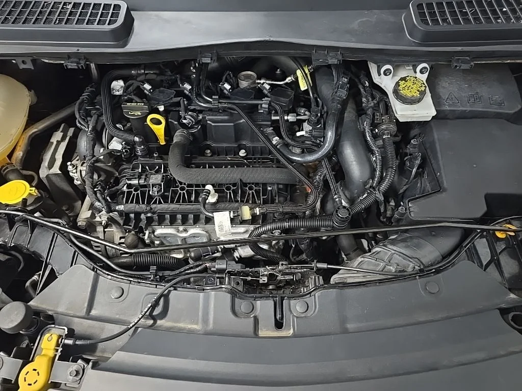 Used 2019 Black Metallic Ford SE image 15