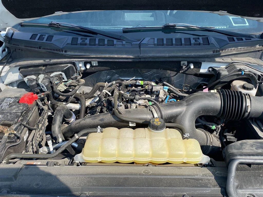 Used 2019 Oxford White Ford XLT image 22