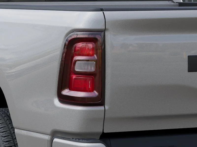 New 2026 Silver Zynith Exterior Paint RAM Express image 10