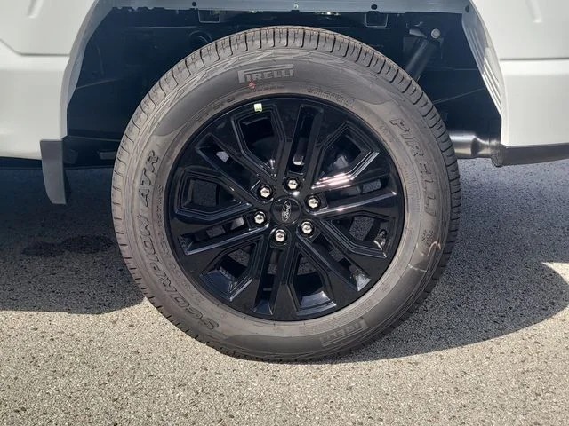New 2026 Oxford White Ford XLT image 8